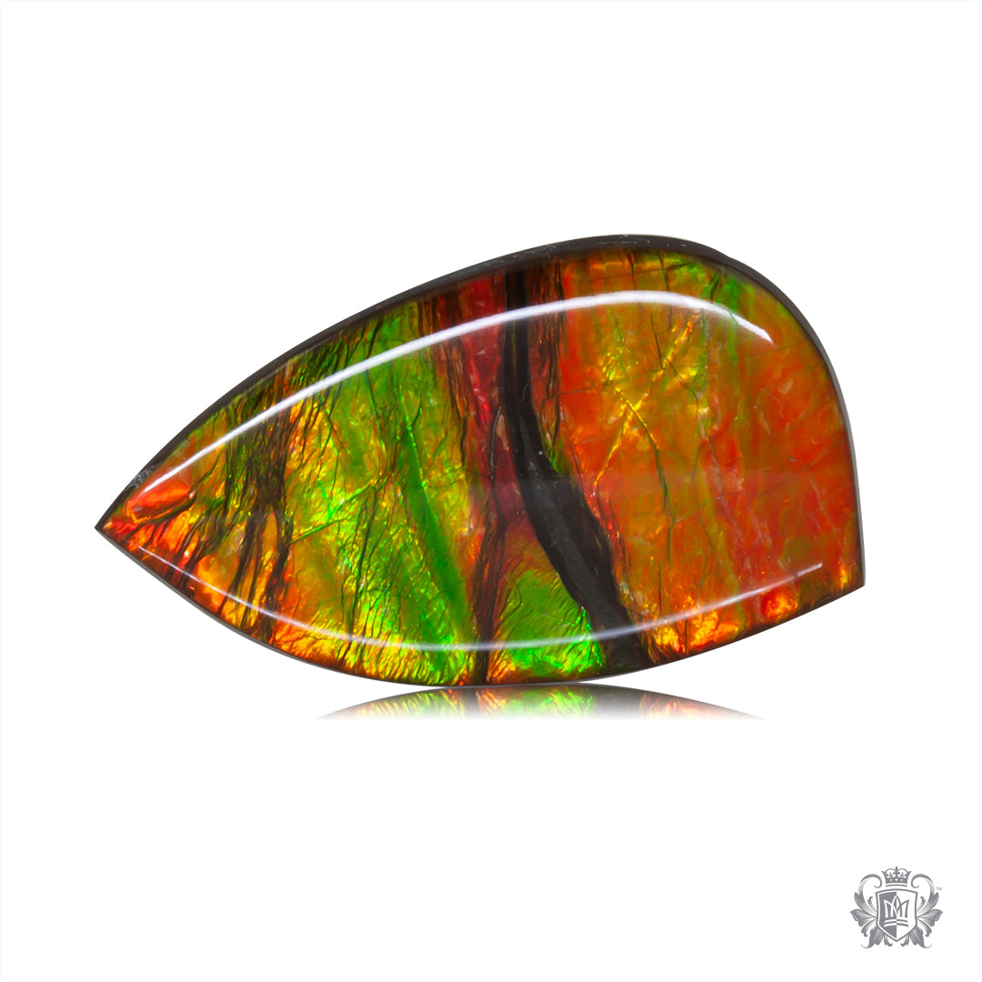 Ammolite prices on sale