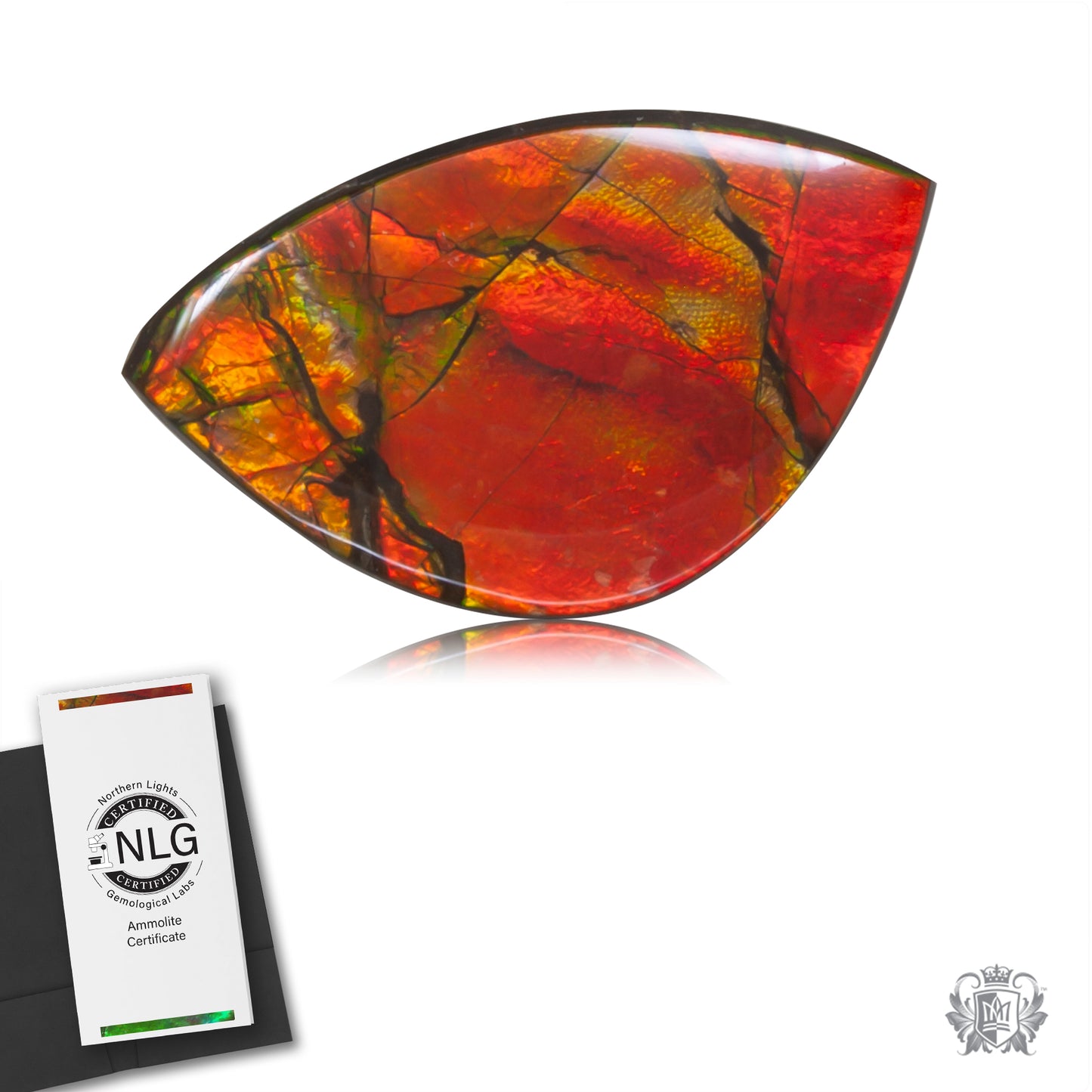 Ammolite Gem #013